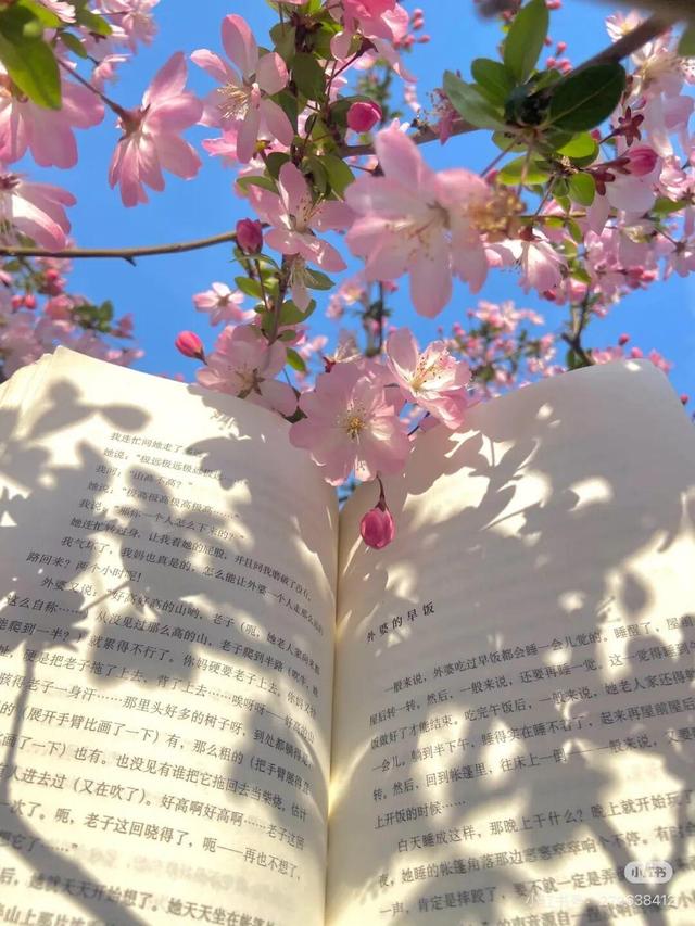 想把临沂的春天打包送给你，临沂最全赏花攻略来了