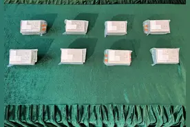 香港海关查获市值约1000万港元走私铂金图片