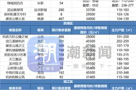 杭州主城区最后的限价盘，有哪些值得买图片