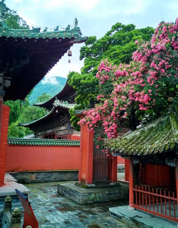 乐游绵阳 清凉一夏 ‖ 去平武！寻迹四极秘境 一步跨越千年！