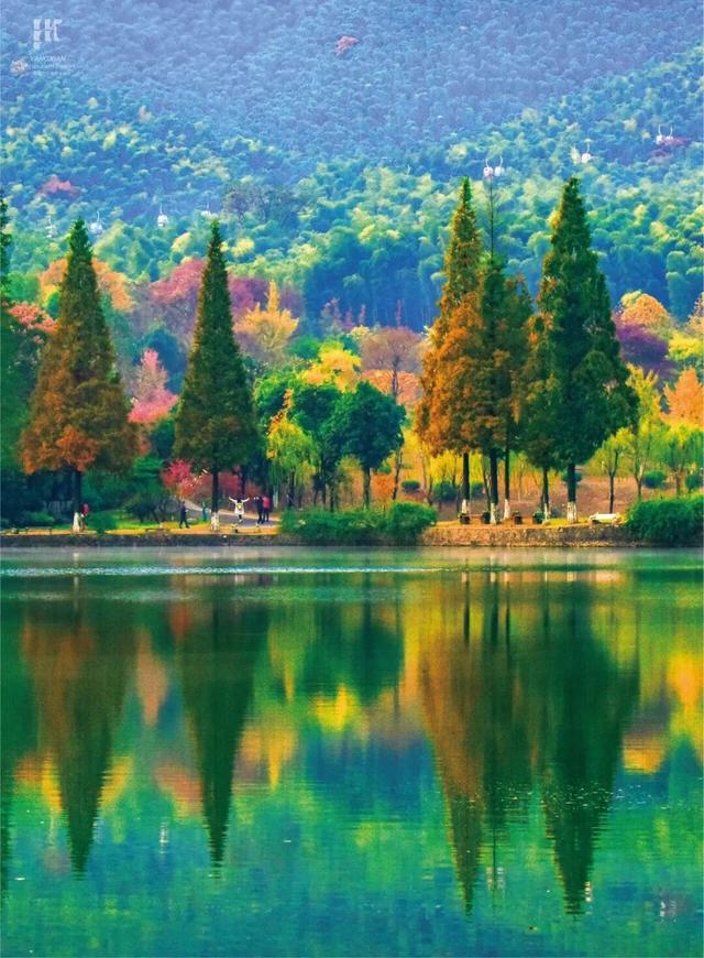 现在的宜兴，已经美成这样了……