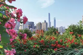 无废城市｜《环境经济》“无废上海”系列报道⑥：浦东新区现代化建设引领区的“无废”实践图片