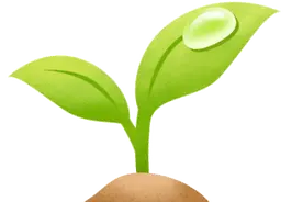 奔赴齐鲁“天然氧吧”，在深呼吸中邂逅绿意春天图片