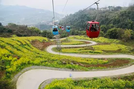 开往春天的索道——坐着索道体验空中赏S型油菜花梯田图片