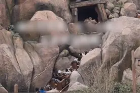 上海迪士尼一过山车项目突发故障停摆，停运1小时后恢复图片