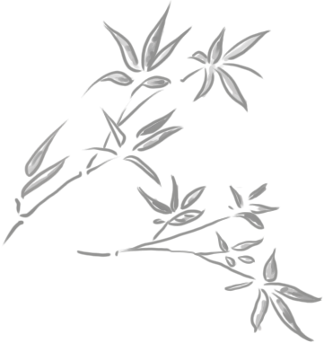 又到候鸟季，相约陆浑来观鸟~