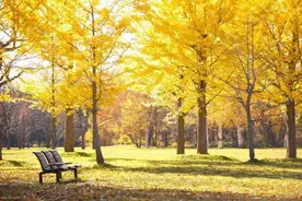 秋季胃部总是疼痛？三个方法帮你缓解图片