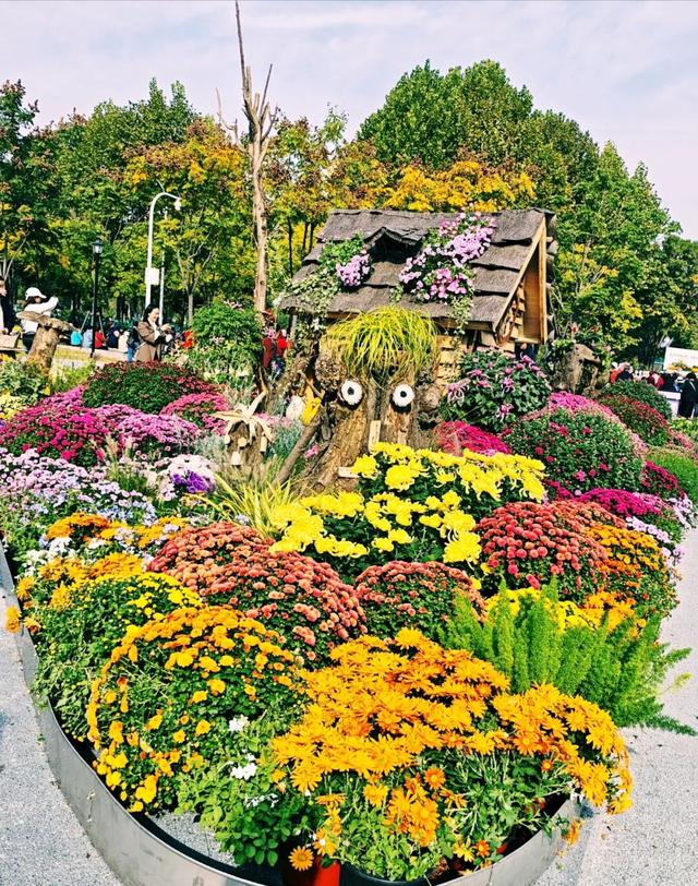 坐地铁，打卡武汉第42届金秋菊展