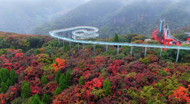 多场景 新体验！山东“文旅 +”融合业态点燃假日消费