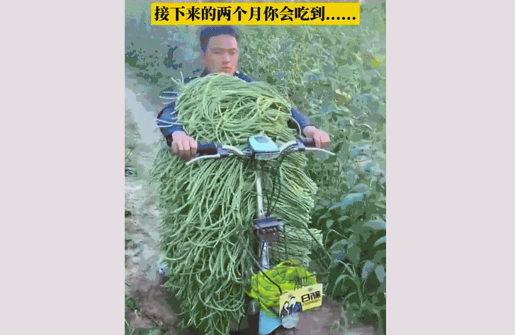 半岛叨叨丨年产180万吨！山东人“吃不完”的豆橛子，到底有什么魅力？图片