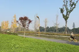 环城绿道骑行办法即将出台 是否戴头盔？限速多少合适？记者实地探访图片