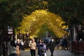 深秋滤镜拉满！遇见北京的金色秋天图片