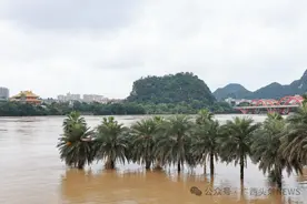 广西局地大暴雨+超警洪水！柳州市区多地被洪水淹没图片