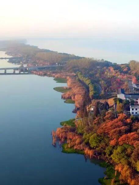 立冬第一游去哪里？淮安5处目的地，这个时节美翻了！