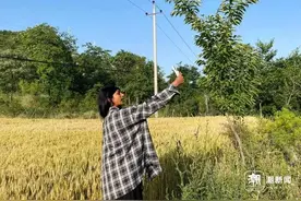 河南夫妇收养的巴基斯坦女孩爆红！一口流利方言亮了图片