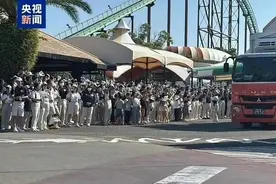 欢迎回家！4只旅日大熊猫平安落地成都图片