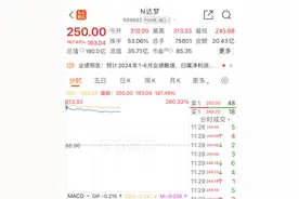 A股又现“大肉签”！中一签最高可赚11万元！图片