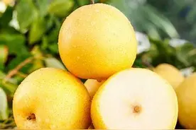 秋梨的消费提示图片