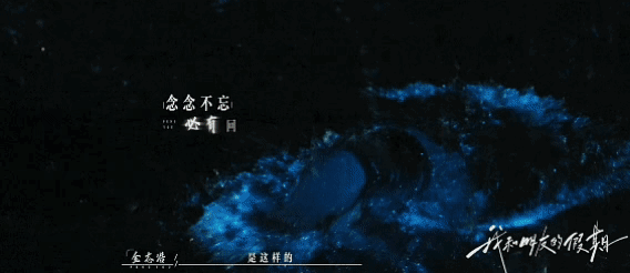 浙江一海岛现“梦幻蓝眼泪”！民宿老板拍下一幕：很震撼，这些点位最易偶遇