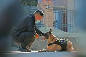 这批“新警”，浑身都是毛……图片