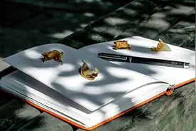 夜光杯美文课·快乐作文｜期待一场雪图片