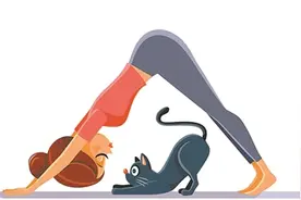 安度盛夏快来跟动物“学养生”图片