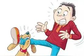 家中宠物咬伤他人，责任怎样分？图片