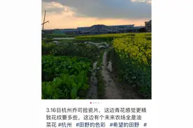 照片流出！杭州网友捡到大量古瓷片和钱币，网传价值千万？专家回应图片