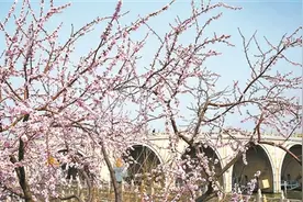 城市副中心邀您运河畔赏春图片