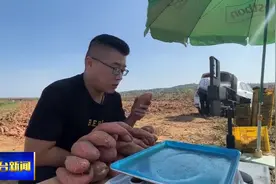关注三秋生产：红薯“出土” 啦！一起刨红薯 看收成图片