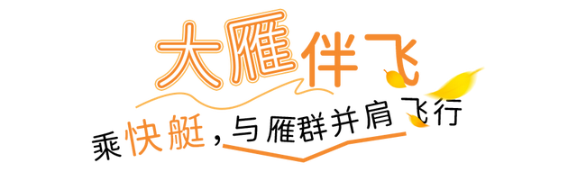 大雁伴飞、鱼鹰伴游，东湖生境雁岛全攻略来了！