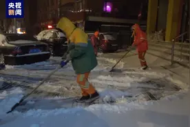以雪为令！辽宁大连连夜清雪 确保道路畅通图片
