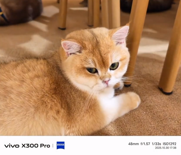 vivo产品经理详解X300原生光影：减少AI干预 还原真实