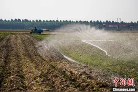 河南耕地面积稳定在1.1亿亩以上图片