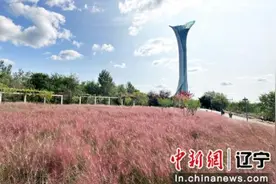 沈阳世博园：美景十月 秋色绚丽图片