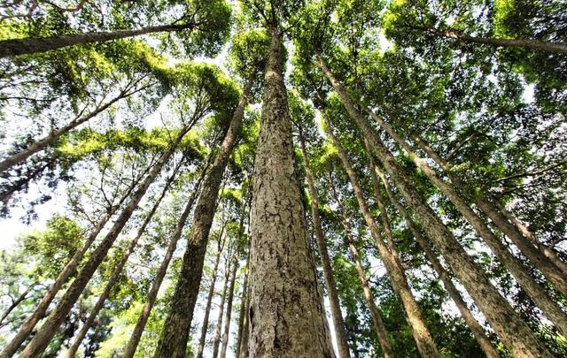 欢迎永州兄弟！盐城景区免费游