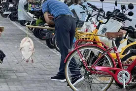 成都街头有人叫卖“野生鳖”？专家提醒：外来物种禁食禁放生图片