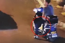 男子抓柯尔鸭当肉鸭吃 赔了8千元图片