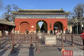 北京柏树“冒黄烟”引发花粉过敏警报，园林局：将科学更替易致敏树种图片