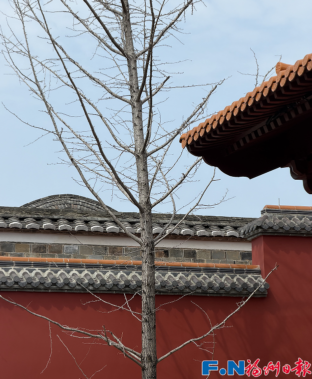 出现“2”字头！福州多条航线机票价格大幅下调