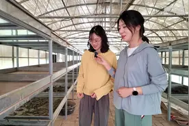 记者观察丨沙漠蜕变，一“藻”而生！图片