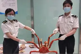 1只螃蟹，17条腿！图片