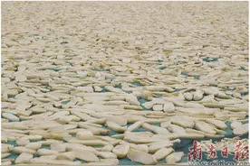 冬日暖阳好 菜脯晒腌忙图片