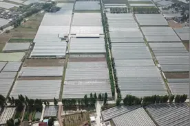 “共富工坊”办的好 架起百姓“致富桥”图片