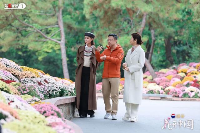 《花开中国》北京篇（上）：岁寒菊香 满城芳华