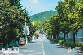 相约“宠客季”，官湖海边音乐会、长桌宴等你来！图片