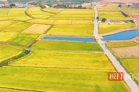 湖北省孝感市孝昌县：小流域综合治理，治出水清岸绿好“钱”景图片