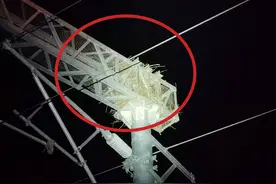铁路电力工人清理电网发现保护动物海雀幼鸟，怀铁警方及时送林业部门救助图片