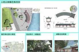 “脱单”有机会！南宁两大公园拟改造增设婚恋角图片