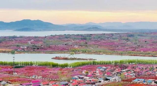 想把临沂的春天打包送给你，临沂最全赏花攻略来了